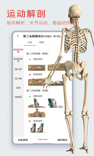 3dbody解剖手机版最新版