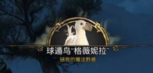 霍格沃茨之遗丰羽之鸟任务完成攻略