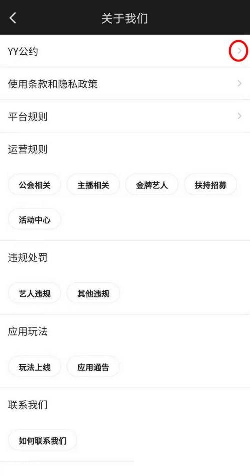 YY怎么查看YY公约？YY查看YY公约方法截图