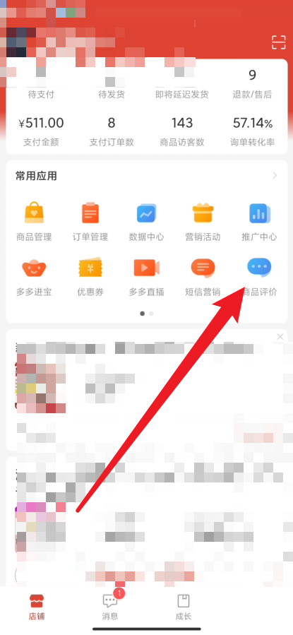 拼多多商家版怎么举报评论?拼多多商家版举报评论方法截图