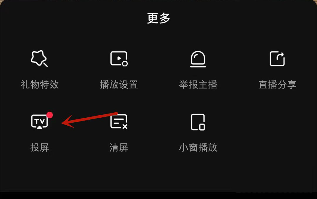 小红书直播怎么投屏?小红书直播投屏教程截图