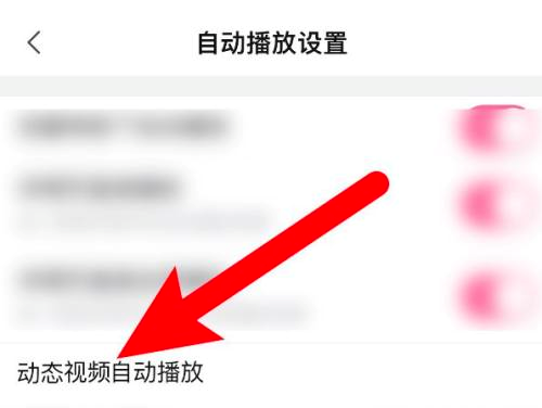 哔哩哔哩怎么关闭动态视频自动播放?哔哩哔哩关闭动态视频自动播放的方法截图