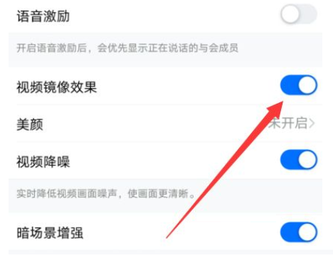 钉钉视频镜像怎么调节?钉钉视频镜像调节方法截图