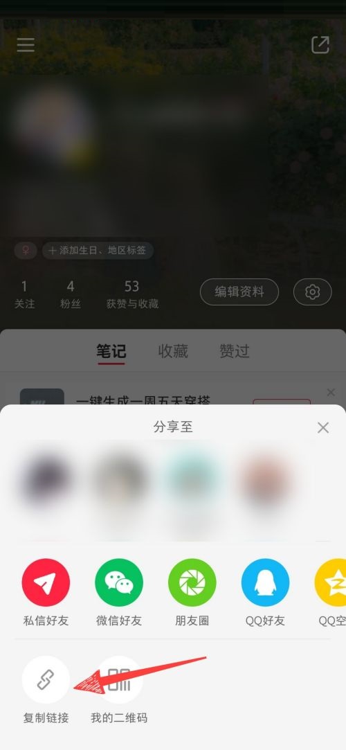 小红书个人主页链接怎么查看?小红书个人主页链接查看方法截图