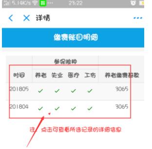 支付宝怎么查询养老保险缴费记录?支付宝查询养老保险缴费记录的方法截图