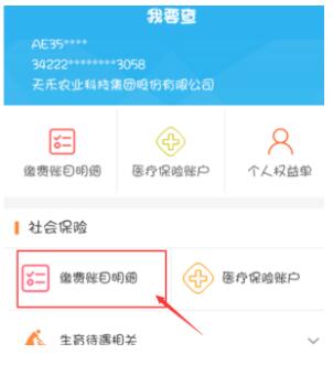 支付宝怎么查询养老保险缴费记录?支付宝查询养老保险缴费记录的方法截图