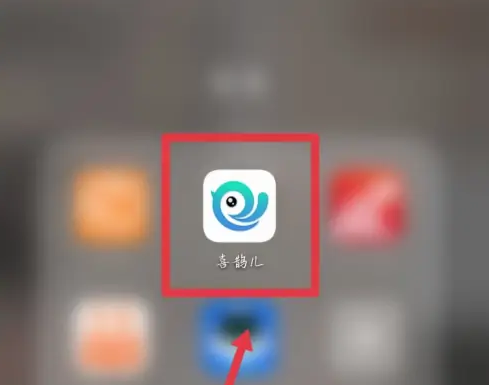 喜鹊儿app如何查询班级 喜鹊儿查看我的课表教程